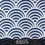 Coral-6605