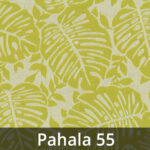 Hawai-Pahala-55