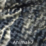 animal_7