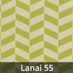 Hawai-Lanai-55