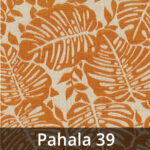 Hawai-Pahala-39