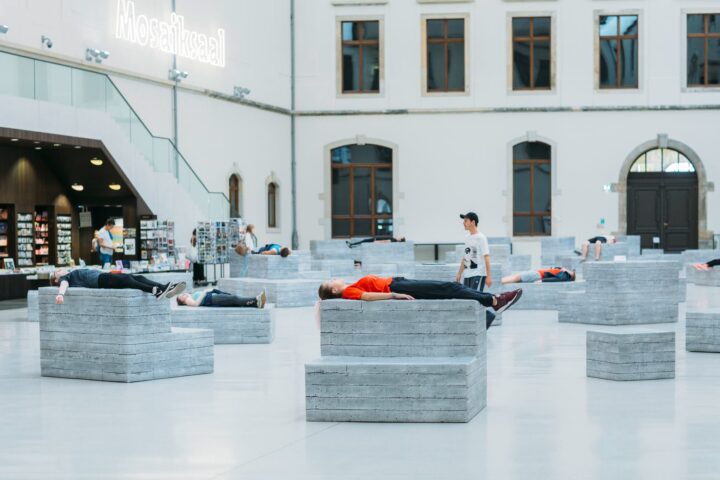 DEMOS – Μουσείο Albertinum Poofomania