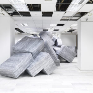 DEMOS – Documenta 14 Poofomania