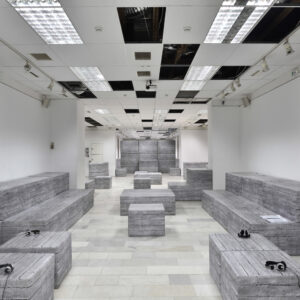 DEMOS – Documenta 14 Poofomania