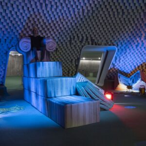 Center For The Critical Appreciation Of Antiquity 2022